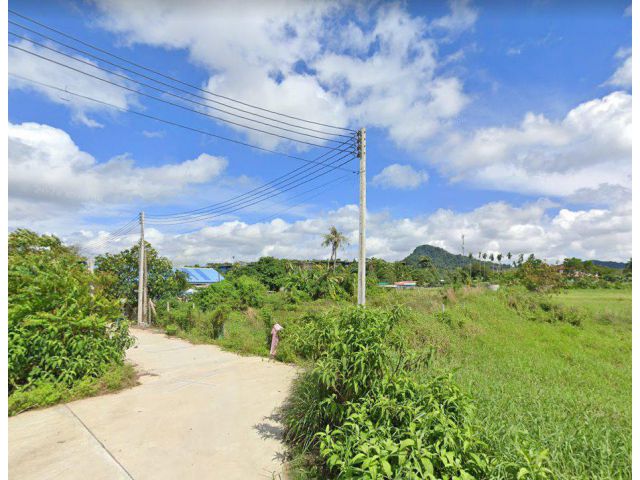 ขายที่ดินบางเสร่ ติดถ.คอนกรีต 126 ตรว. วิวเขา ใกล้หาดบางเสร่ 4.7 กม. ใกล้สวนนงนุช 1 กม. อ.สัตหีบ จ.ชลบุรี
