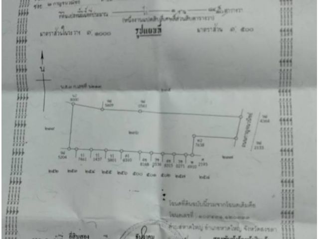 ขายที่ดินทำเลธุรกิจติดถนนใหญ่ กาญจนวนิชย์สายหลัก อ.หาดใหญ่ จ.สงขลา