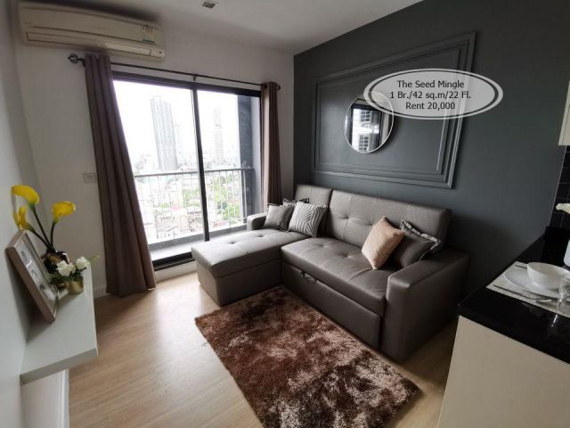 เช่า- The Seed Mingle /1 ห้องนอน/ชั้น 22/ 42 ตร.ม/ เช่า 20,000