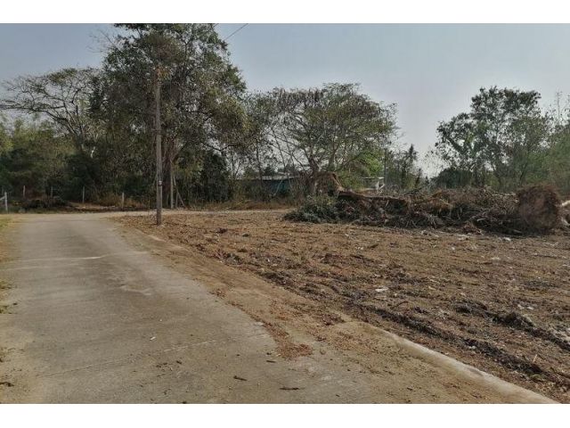 #ขายที่ดินแม่ริม ต.ดอนแก้ว อ.แม่ริม เนื้อที่ 249 ตร.วา วาละ 16,000