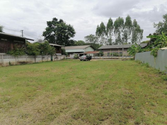 #ขายที่ดินสันทราย ใกล้รพ.สันทราย 1 กม. เนื้อที่ 177 ตร.ว. วาละ 22,500บ. (3,982,500บ.)