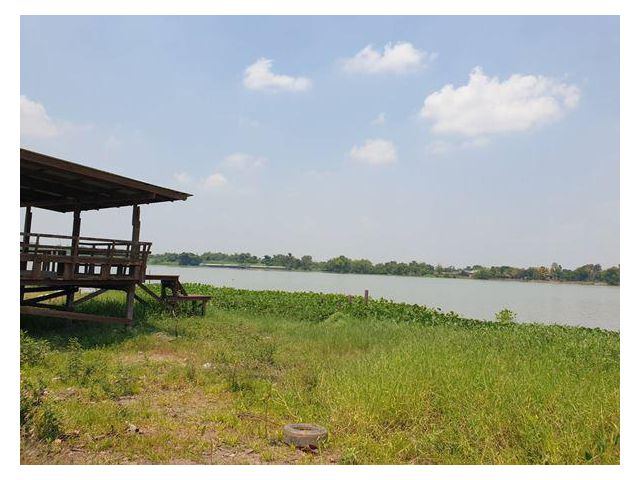 ขายที่ดิน ติดแม่น้ำเจ้าพระยา ติดถนนทางหลวง 3309 ถนนศูนย์ศิลปชีพบางไทร-บางพูน ที่ดินสวยมาก ติดน้ำติดถนนติดน้ำ ติดแม่น้ำกว