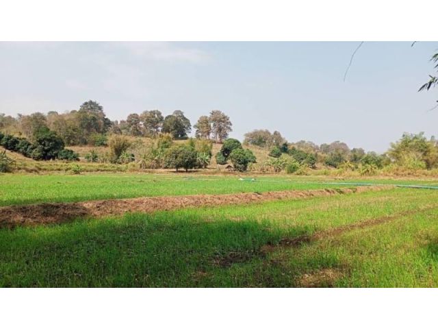 Land for sale in Mae Rim, next to the river, Area around 9,600 square meter  Sale with good condition for 10 million