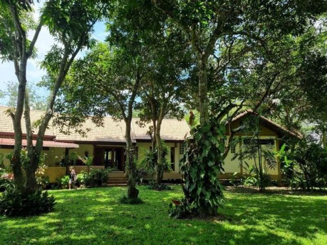 #ขายบ้านสวนดอยสะเก็ด เนื้อที่ 2-3-96 ไร่ ราคา 15.5 ล้าน