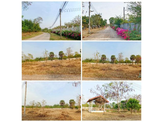 ขายที่ดินพร้อมปลูกบ้านสวน ถมเเล้วทั้งเเปลง 1ไร่ 3งานเศษ เเปลงสวย สาธารณูปโภคครบพร้อมศาลาริมน้ำ บรรยากาศดี ปากท่อ ราชบุรี