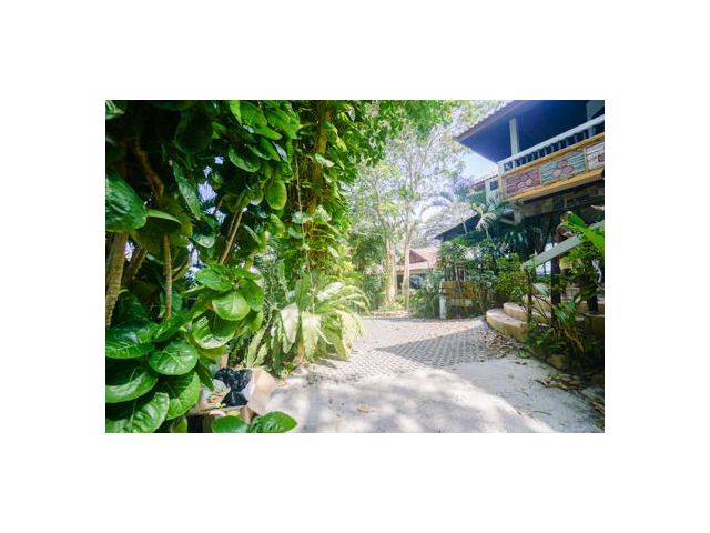 Apartment 1nd Floor For Rent Sea View 2bed 2bath chaweng bophut