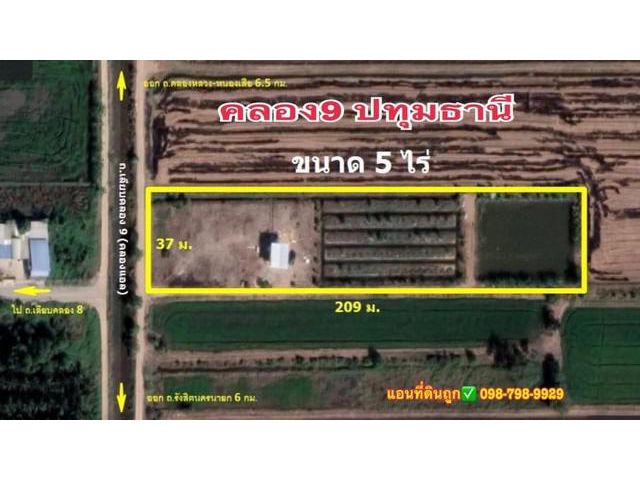 คลอง 9 บ้านพร้อมที่ดิน 5 ไร่ บรรยากาศธรรมชาติ