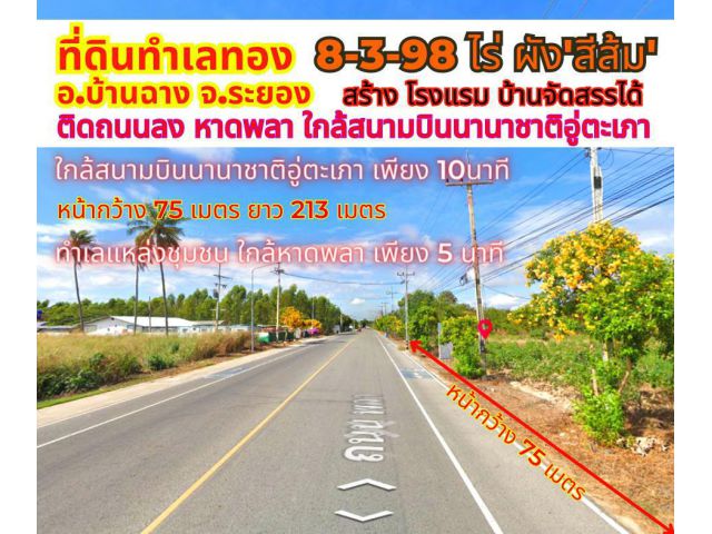 ขายที่ดินระยอง พลา บ้านฉาง 8-3-98ไร่ ใกล้สนามบินนานาชาติอู่ตะเภา ติดถนนลงหาดพลา