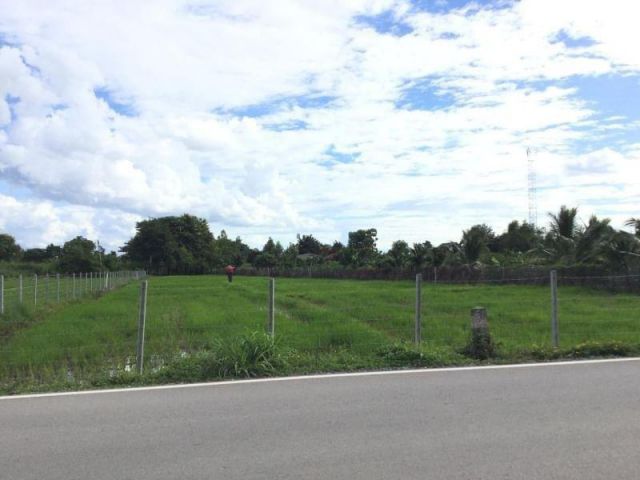 #ขายที่ดินสันกำแพง ที่นา วิวสวย เนื้อที่ 2-0-9 ไร่ ราคา 5.5 ล้าน