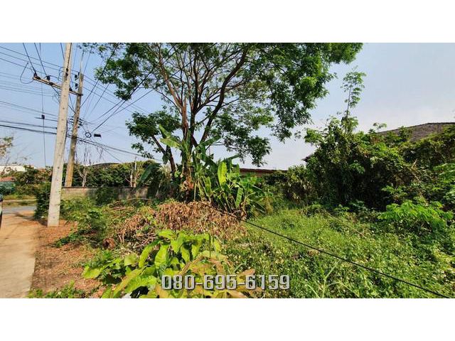 ขายที่ดิน ใกล้ปั้ม ปตท หางดงเชียงใหม่ ใกล้กาดฝรั่งวิลเลจ