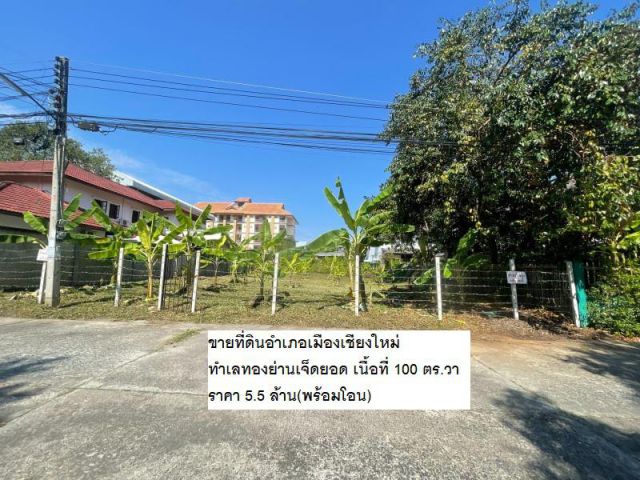 ขายที่ดินอำเภอเมืองเชียงใหม่ ทำเลทองย่านเจ็ดยอด เนื้อที่ 100 ตร.วา ราคา 5.5 ล้าน(พร้อมโอน)