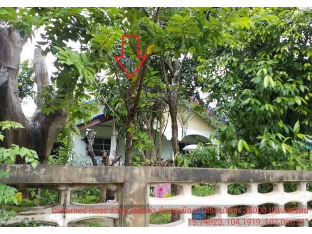 ขายบ้านเดี่ยวชั้นเดียว 253ตร.ว. ชุมชนบ้านเขื่องคำ อำเภอเมืองยโสธร