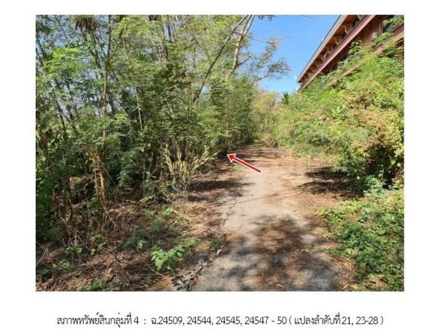 ขายที่ดินว่างเปล่า ฉลองกรุงริเวอร์วิลล์ หนองจอก 331ตร.ว.