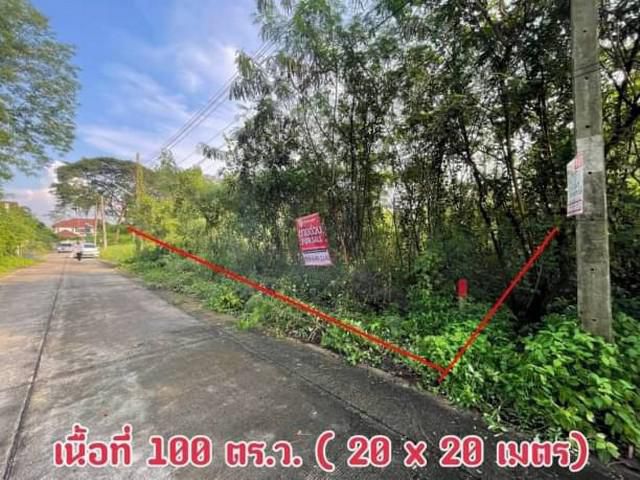 ขาย ที่ดินเปล่า 100 ตร.ว. พุทธมณฑลสาย 2