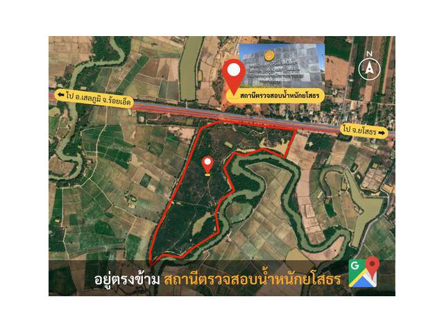 ขาย!ที่ดิน 172 ไร่ + 30 ไร่ ติดถนนใหญ่ เมืองยโสธร จ.ยโสธร