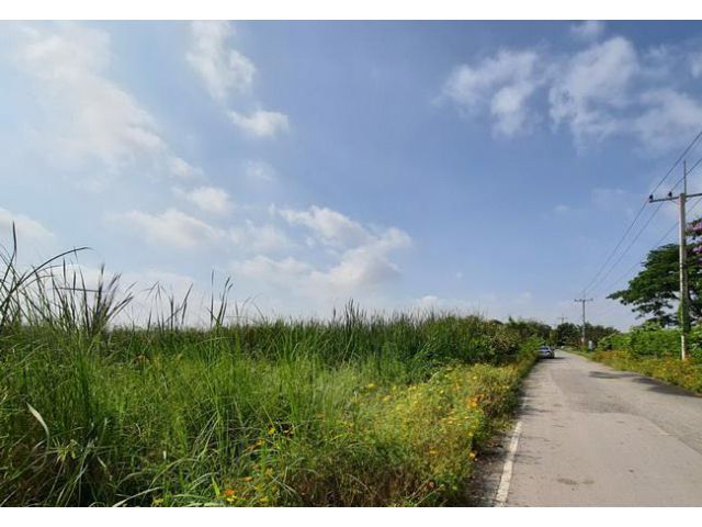 ขายที่ดินคลอง 10 ถนนรังสิต-นายก อำเภอธัญบุรี ปทุมธานี