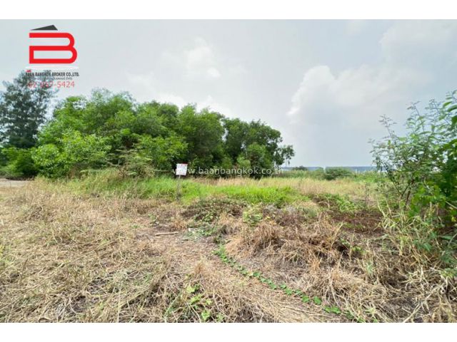 ที่ดินเปล่า คลองสี่ตะวันตก 51 เนื้อที่ 93.8 ตรว. ถนนกาญจนาภิเษก อำเภอคลองหลวง จังหวัดปทุมธานี