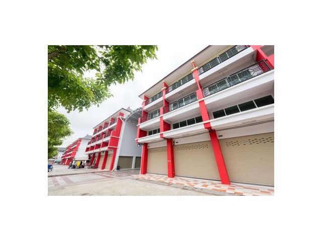 ขาย อาคารพาณิชย์ สำเพ็ง 2 สาทร กัลปพฤกษ์ 384 ตรม. 32 ตร.วา หน้ากว้าง 8 เมตร ตึกแถว สำเพ็งสอง กาญจนาภิเษก ราชพฤกษ์ บางแค บางบอน