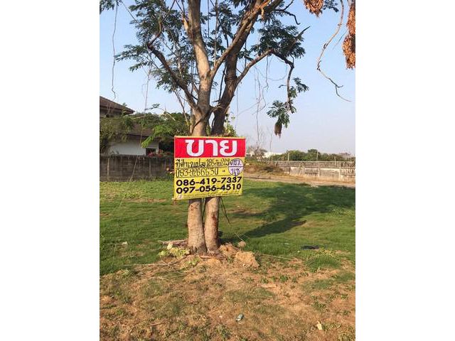 ขายที่ดิน 185 วา.  ม.กรีนเลค บางนาตราด กม 13 ในราชาเทวะ บางพลี