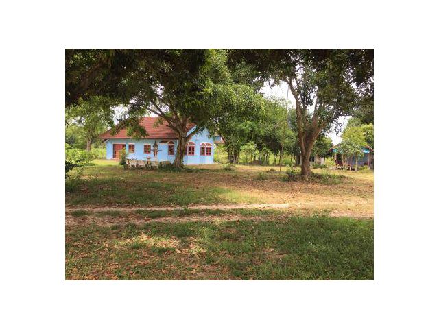 ขาย ที่ดิน 44 ไร่ พลูตาหลวง สัตหีบ จ.ชลบุรี 44 ไร่ ในเขต EEC