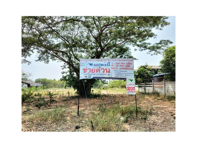 ขายที่ดิน 7-3-60.2 ไร่ ทำเลดี