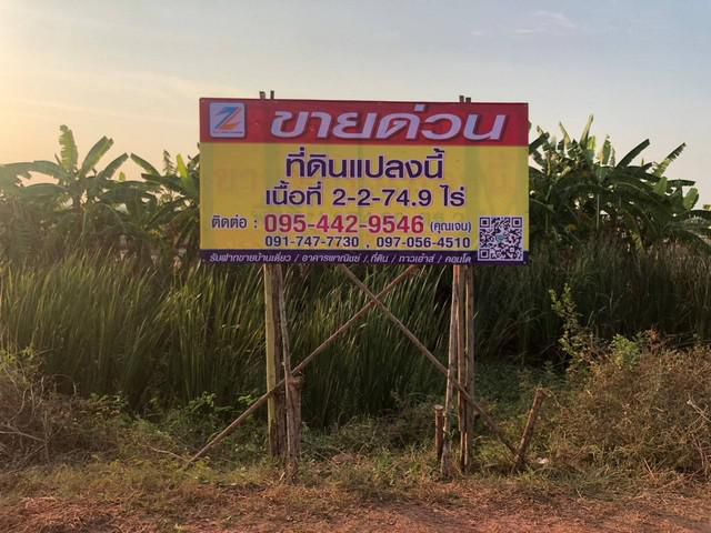 ขายที่ดิน เนื้อที่ 2-2-74.9ไร่ ราชบุรี คูบัว อ.เมือง จ.ราชบุรี