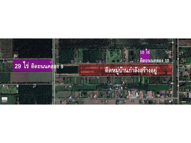 มี 2 แปลง  1. ขายที่ดินสวนมะพร้าว 10 ไร่