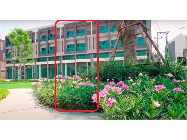 โฮมออฟฟิศ 3.5ชัน ติดถนนใหญ่ เพชรเกษม หลังสุดท้ายเท่านั้น ก. 5 เมต