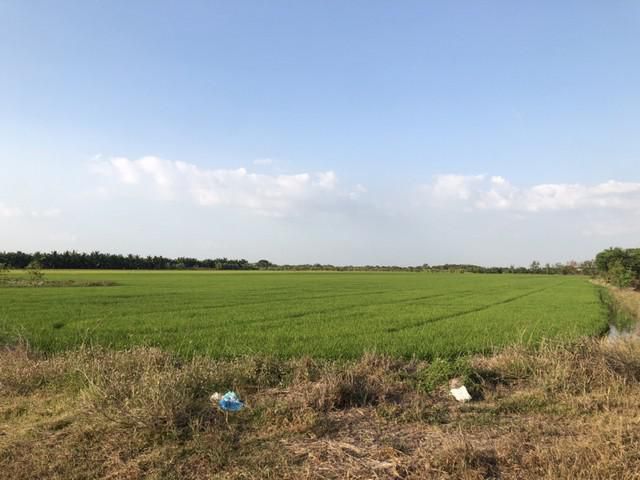 ลดท้าลมหนาวค่า ขายเช่า  ขายที่จ.ปทุมธานี 5ไร่