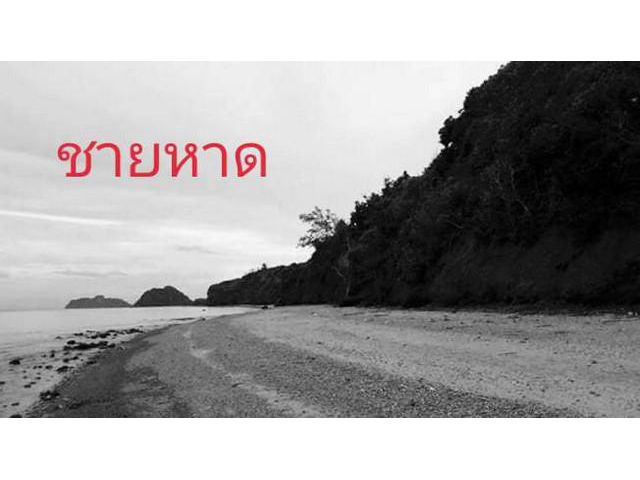 ขายที่ดิน  หาดฝั่งแดง บางสะพานน้อย ประจวบ ขายที่ติดทะเล