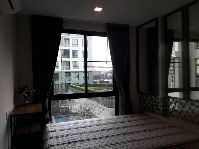 Kensington Pahol 42