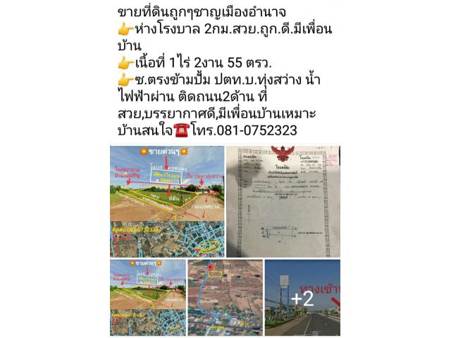 ขายที่ดินแปลงเล็ก ถูกๆ ด่วนๆ