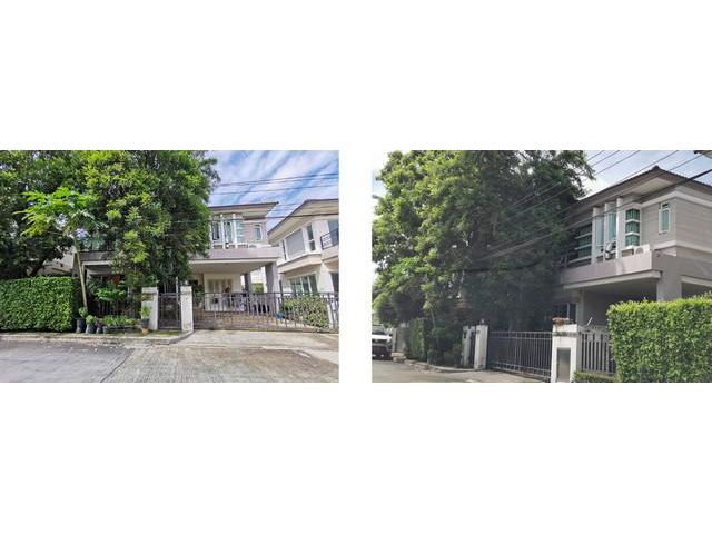 ขายบ้านเดี่ยว  หมู่บ้านบางกอก บูเลอวาร์ด เทพารักษ์-วงแหวน  สมุทรป