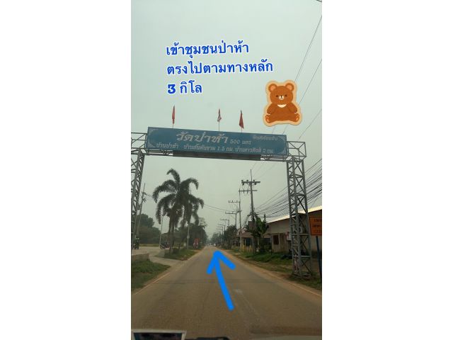 ที่ดิน อยู่ในชุมชนนางแล บ้านป่าห้า 2ไร่ 2งาน 41 วา ขายด่วน ถูกมาก