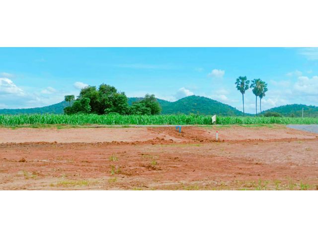 ขายที่ดินติดลาดยาง เหมาะสร้างบ้านสวน กิจการร้านค้า ร้านกาแฟริมเขา หรือโฮมสเตย์