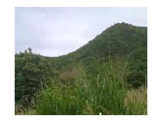 ขายที่ดินโฉนด 2 ไร่ แถมที่ดินติดชายเขา อีก 1 ไร่