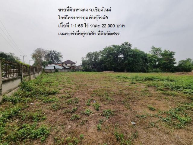 ขายที่ดินหางดง จ.เชียงใหม่ ใกล้โครงการกุลพันธุ์วิวล์9 เนื้อที่ 1-1-66 ไร่ วาละ 22,000 บาท เหมาะทำที่อยู่อาศัย ที่ดินจัดส