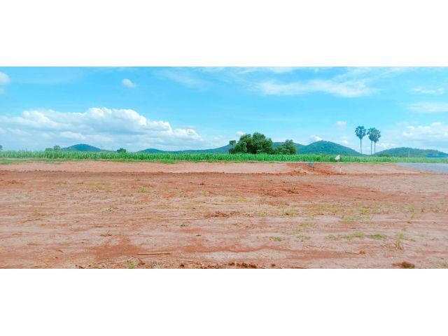 ขายที่ดินติดลาดยาง เหมาะสร้างบ้านสวน กิจการร้านค้า ร้านกาแฟริมเขา หรือโฮมสเตย์