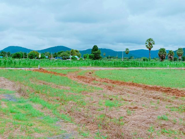 ขายที่ดินติดลาดยาง เหมาะสร้างบ้านสวน กิจการร้านค้า ร้านกาแฟริมเขา หรือโฮมสเตย์