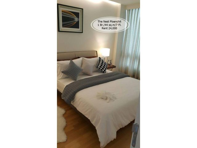 เช่า- The Nest Ploenchit  / 1 ห้องนอน / 44 ตร.ม. /ชั้น 7 ใกล้ BTS เพลินจิต  เช่า 24,000
