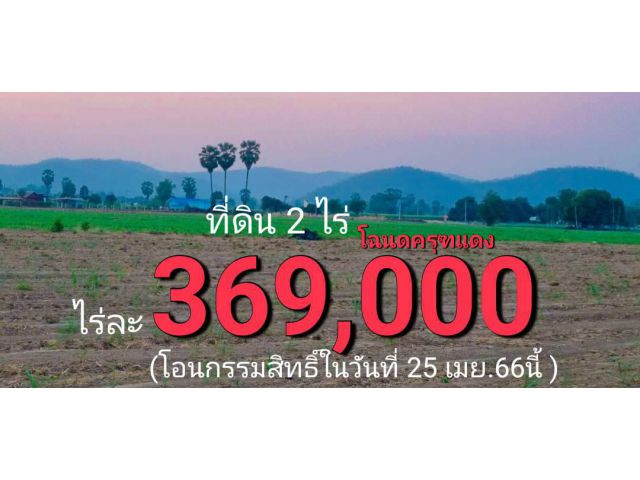 ขายที่ดินวิวเขาสวย 2 ไร่ บรรยากาศดีน้ำไม่ท่วม มีเพื่อนบ้าน (ฉ.ครุฑแดง)