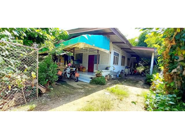 ขายบ้านเดี่ยวชั้นเดียว สภาพดี พร้อมทึ่ดิน 78วา บ้านม่อนเขาแก้ว จ.