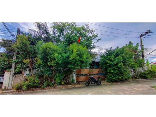 ขายบ้านเดี่ยว     หมู่บ้านปริญสิริ  ชลบุรี