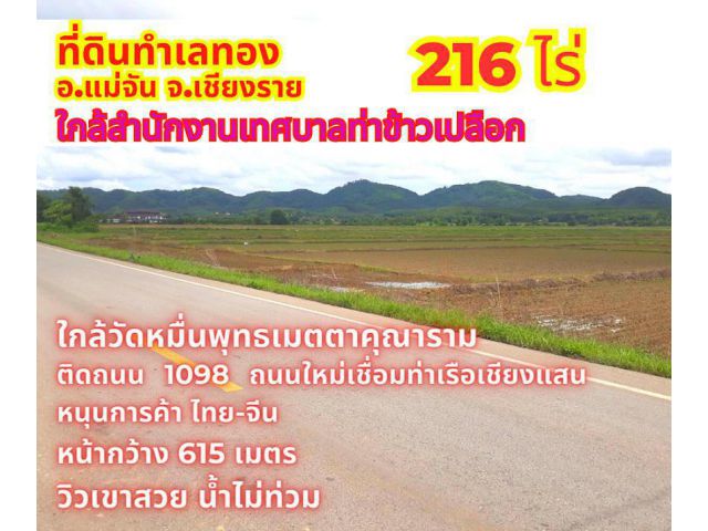 ขายที่ดินเชียงราย แม่จัน 216 ไร่ ใกล้สำนักงานเทศบาลท่าข้าวเปลือก ทางไปท่าเรือพาณิชย์เชียงแสน