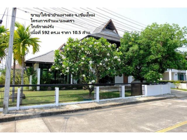 ขาย/ให้เช่าบ้านหางดง โครงการล้านนามนตรา ใกล้กาดฝรั่ง เนื้อที่ 592 ตร.ม ราคา 10.5 ล้าน