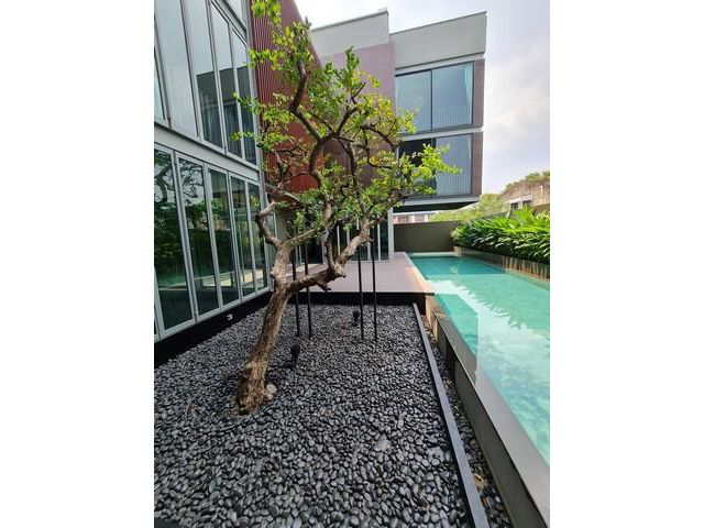 PO1711ขาย บ้านเดี่ยว 3 ชั้น ขายพร้อมผู้เช่า ซอยสังคมสงเคราะห์ 10