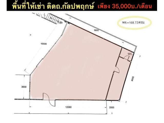 อาคารโชว์รูม-สำนักงาน ติดถนนกัลปพฤกษ์