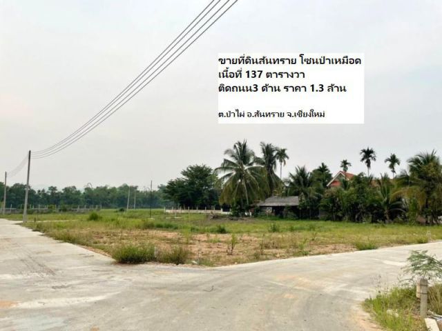ขายที่ดินสันทราย โซนป่าเหมือด เนื้อที่ 137 ตารางวา(ติดถนน3 ด้าน) ราคา 1.3 ล้านบาท