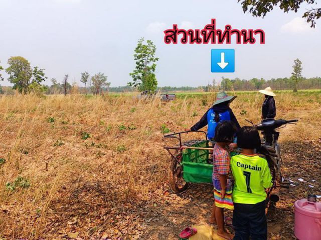 ขาย ที่ดิน 32 ไร่ อำเภอเมืองอุดรธานี ขายถูก