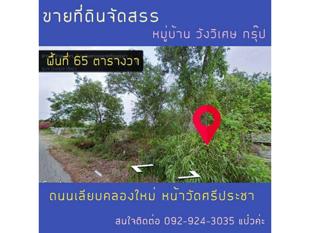 ขายที่ดินจัดสรร ลำตาเสา 65 ตร.ว. อ.วังน้อย พระนครศรีอยุธยา เหมาะสำหรับสร้างบ้าน โทร 092-924-3035